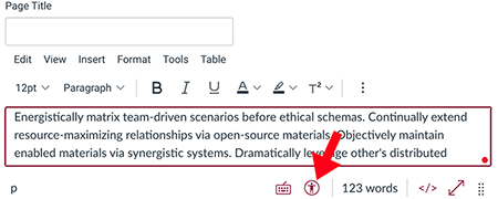 Canvas accessibility checker in the Rich Content Editor