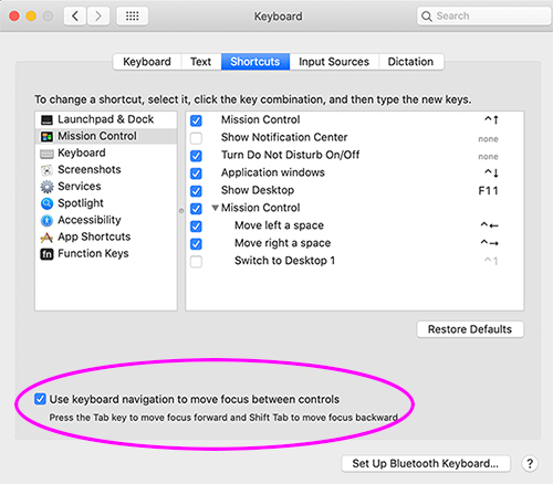 Mac system preferences' &gt; Keyboard pane showing keyboard access setting at the bottom