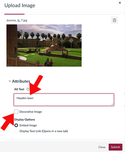 Upload image screen in Canvas showing alternative text field and decorative image checkbox options.