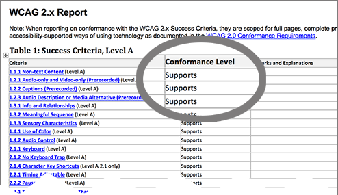 Example WCAG VPAT showing conformance level column