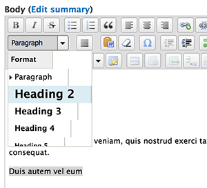Use the Format dropdown in Webspark to choose a heading level