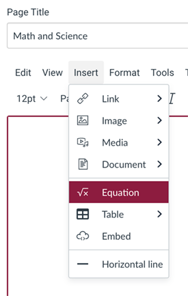 Equation Editor choice in the Canvas Rich Content Editor