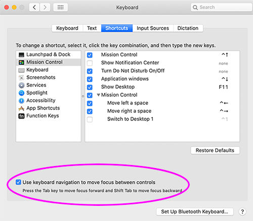Mac system preferences' > Keyboard pane showing keyboard access setting at the bottom
